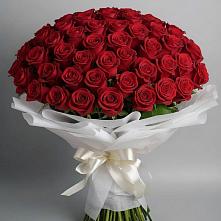 Букет 101 Красная роза Блэк Мэджик в Уве