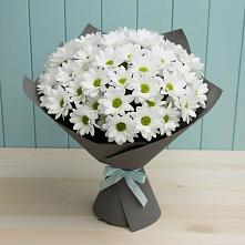 Букет цветов из:  Хризантемы #REPLACE_PRED# Уве