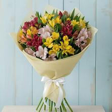 Букет цветов из:  Альстромерии в Уве