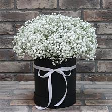 Цветочная композиция из Гипсофила в шляпной коробке #REPLACE_PRED# Уве