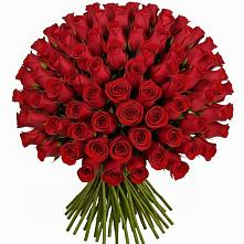 Букет Красные розы Чери Лав в Уве