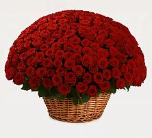 Премиум букет из: Розы в Уве